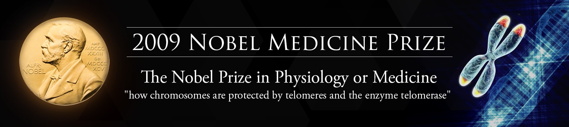 telomeres telomerase supplements anti aging supplements defytime bill andrews nobel medicine prize telomeres telomerase supplements anti aging supplements defytime bill andrews nobel medicine prize