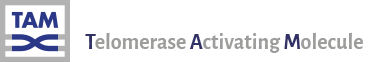 logo-TAM-name