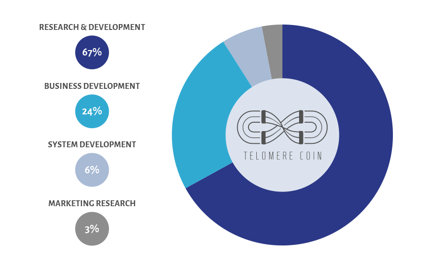pic-funds-distribution Telomere Coin Issue Allocation