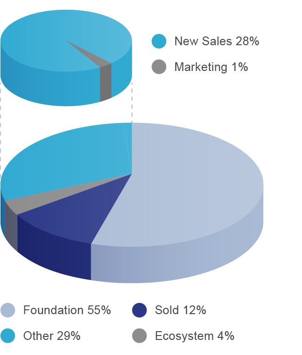 pie-chart-coin-allocation Telomere Coin Issue Allocation