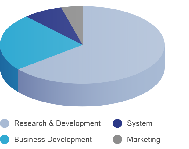 pie-chart-fund-allocation Telomere Coin Issue Allocation